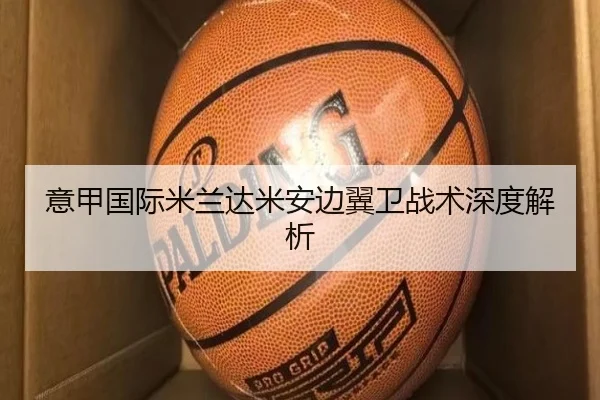 意甲国际米兰达米安边翼卫战术深度解析 | yingdian